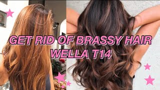 GETTING RID OF ORANGE BRASSY HAIR W WELLA T14  Brunette Hair [upl. by Alegnave17]