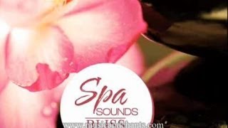 Spa Sounds Bliss  Music for Meditation Relaxation Destress [upl. by Thamora]