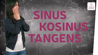 Die Winkelfunktionen Sinus Kosinus und Tangens I musstewissen Mathe [upl. by Arahk100]