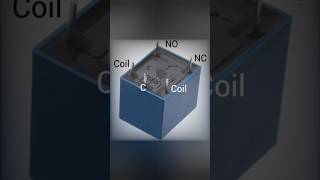 12v relay wiring diagram shorts [upl. by Adni]