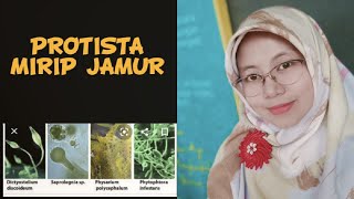 Protista mirip jamur [upl. by Cassandry226]