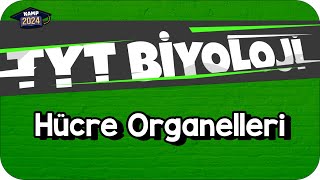 Hücre Organelleri  TYT Biyoloji KAMP2024 [upl. by Cohen299]