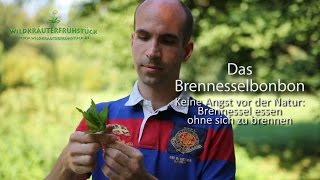 Brennessel ja – aber bitte ohne brennen [upl. by Nuaj436]