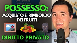 🖼🍇 POSSESSO Acquisto e Rimborso dei Frutti  Diritto privato in 3 minuti [upl. by Rosaline]