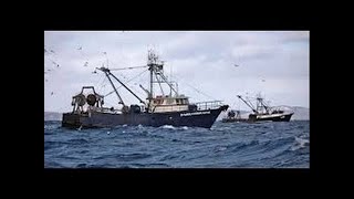 Alaska Pollock Fishing full documentary  DOCFILMS [upl. by Maryjo66]