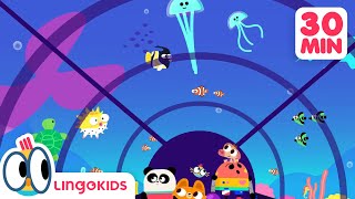 ABC CHANT 🔤🎶 Baby Bots Favorite Songs for Kids 🤖Lingokids [upl. by Anoj]