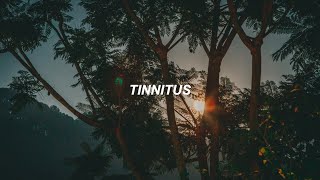 tinnitus  txt 투모로우바이투게더 eng lyrics [upl. by Aphra852]