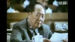 Mao Zedongs Speech at the 9th National Congress of the Communist Party of China [upl. by Sirraf]