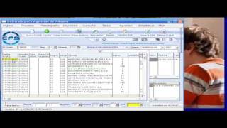 1SOFTWARE PARA AGENCIAS DE ADUANAS CPS [upl. by Yup]