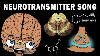 THE NEUROTRANSMITTER SONG [upl. by Anette]