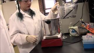 Enzymatic Hydrolysis Instructional Video [upl. by Ojadnama106]