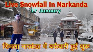 Live Snowfall In Narkanda  शिमला नारकंडा में बर्फबारी हुई शुरू [upl. by Sutsuj]