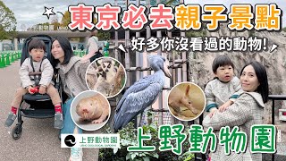 東京必去親子景點特輯！上野動物園12歲以下免費～好多動物你沒看過！好吃好玩又有趣【PIN命💗VLOG】 [upl. by Airotal]