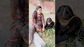 Humare piche dekho kon pad gya😳🐘 prishaandmom viralvideo trending shorts [upl. by Harland]