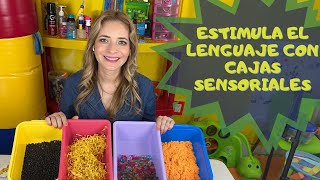 Estimula el lenguaje con Cajas Sensoriales [upl. by Aurita]