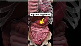 5 Foods That Improve Digestion digestivehealth health healthtips [upl. by Enilatan]