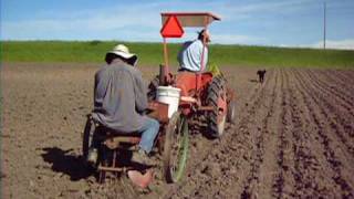 Planting Potatoes [upl. by Assirk]