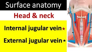 Surface marking of internal and external jugular vein [upl. by Hitoshi991]