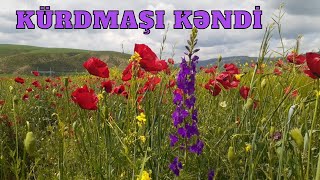 İsmayıllı rayonu Kürdmaşı kəndi Ismayilli rayonu Kurdmasi kendi [upl. by Edwards]