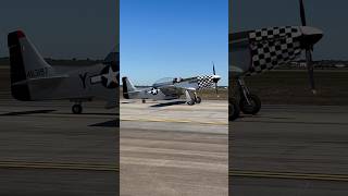 P51 Mustang “Bum Steer” taxiing at the 2023 Wings Over Houston Air Show [upl. by Nosnah]