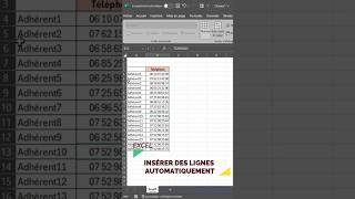 Excel Insérer Lignes Automatiquement  Astuce [upl. by Eninaej897]