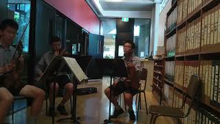 Dvorak American String Quartet  2nd Mvmt [upl. by Ellimahs]