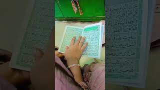 shorts trending viralvideo nizamuddin dargah quran qurantilawatsanasultana9317 [upl. by Archibald]