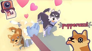 Pupperazzi Switch Lets Play Paparazzi game with love puppies to pet FIRST LOOK Gameplay ITA [upl. by Schonfield]