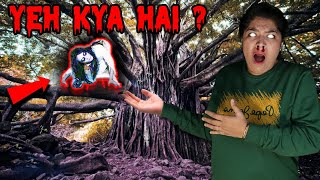 We Visited Indias MOST HAUNTED TREE At 333 am [upl. by Nnaecarg717]