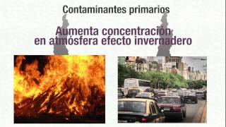 TIPOS de CONTAMINACIÓN AMBIENTAL ✅ VIDEO EDUCATIVO 📚 [upl. by Turley]