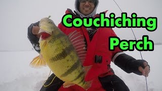 Lake Couchiching Early Ice Perch Fishing [upl. by Kciwdahc400]