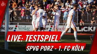 LIVE Pressekonferenz mit Steffen BAUMGART vor Bochum  1 FC Köln [upl. by Joni]