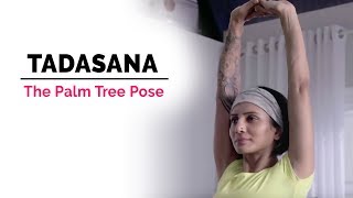 Tadasana Yoga  Palm Tree Pose  Steps  Benefits  Yogic Fitness [upl. by Nuyh]