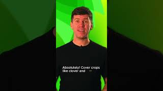 Can covercrops improve soil health [upl. by Dhaf722]