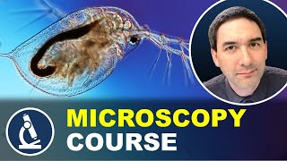 Introduction to microscopy 🔬 MICROSCOPY COURSE [upl. by Chita]