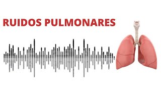 AUSCULTACIÓN PULMONAR ruidos normales y anormales [upl. by Elysee]