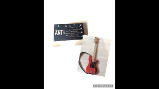 Ashdown Ant  1977 Fender Precision Bass [upl. by Rosenberg580]