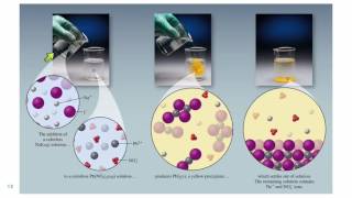 42 Precipitation Reactions [upl. by Nowaj8]