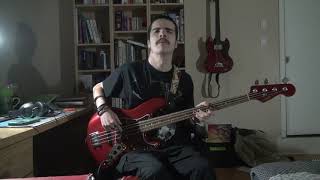 Hostiles on the Hill  Bad Lip Reading bass cover [upl. by Zaragoza]