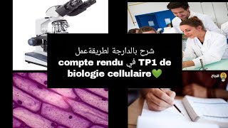 شرح بالدارجة لطريقة عمل compte rendu في TP1 de biologie cellulaire سنة اولى تخصص بيولوجي L1 Snv s1 [upl. by Avot291]