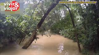 Canales de Tortuguero  Costa Rica [upl. by Munafo]