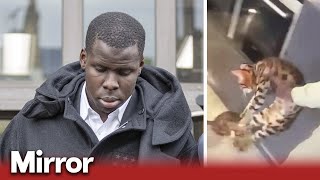 West Ham defender Kurt Zouma sentenced over Snapchat cat attack video [upl. by Emlynn]