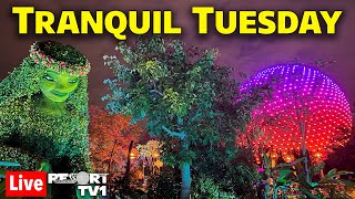 🔴Live Tranquil Tuesday at Epcot  101723  Walt Disney World Live Stream [upl. by Frank]