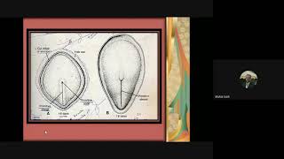 embryonic period part 1 [upl. by Nicks529]