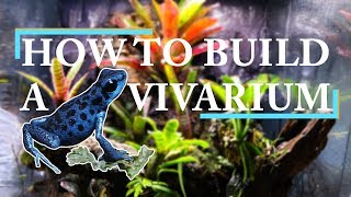 THE ULTIMATE VIVARIUM BUILD  Drylok Background [upl. by Leraj]