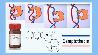 camptothecin [upl. by Claudine]