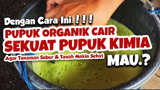 DENGAN CARA INI PUPUK ORGANIK CAIR BISA SEKUAT PUPUK KIMIA MAU  Tanaman Subur amp Tanah Sehat [upl. by Ahseram604]