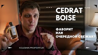 Обзор Mancera Cedrat Boise Фаворит или очередной свежак [upl. by Innis]