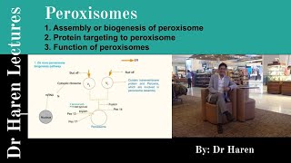 Peroxisomes [upl. by Neehcas]