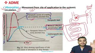 Biopharmaceutics Absorption of drugs complete chapter for GPAT 2022 amp 2023 Brahmankar chapter 1amp2 [upl. by Felipe722]